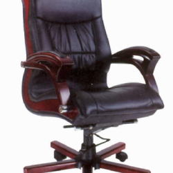 Medium Back Director Chair SOC-204