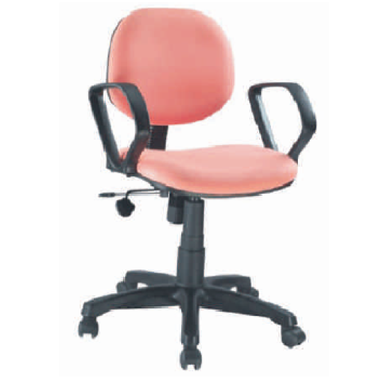 Low Back Chair SWC-252